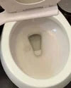 1 Year of Toilet Bowl Cleaner Secondary image